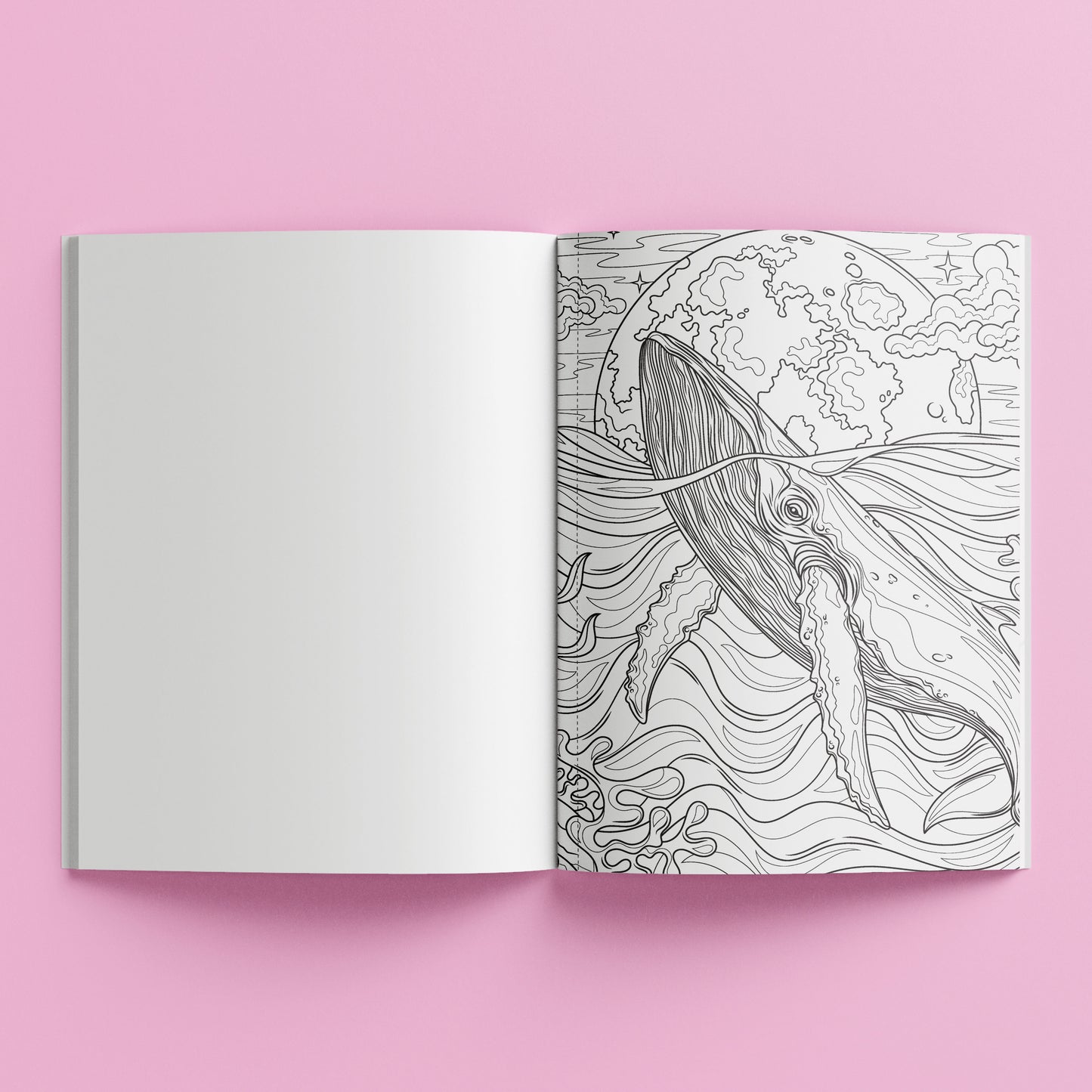 Kaleidoscope Colouring Wild Beauty – interior colouring page 2