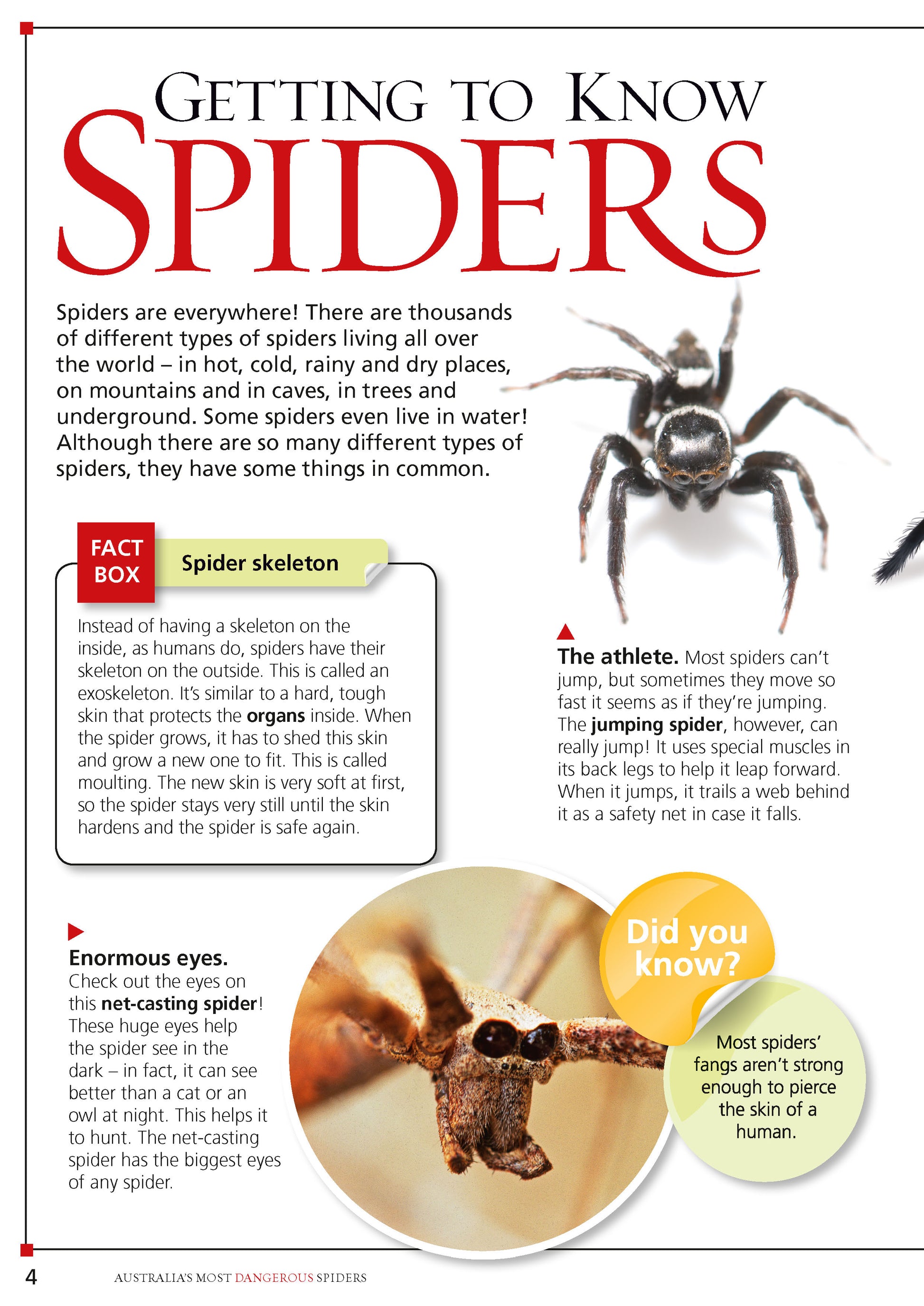Australia's Most Dangerous – Australian Geographic book set view 2 for early learning