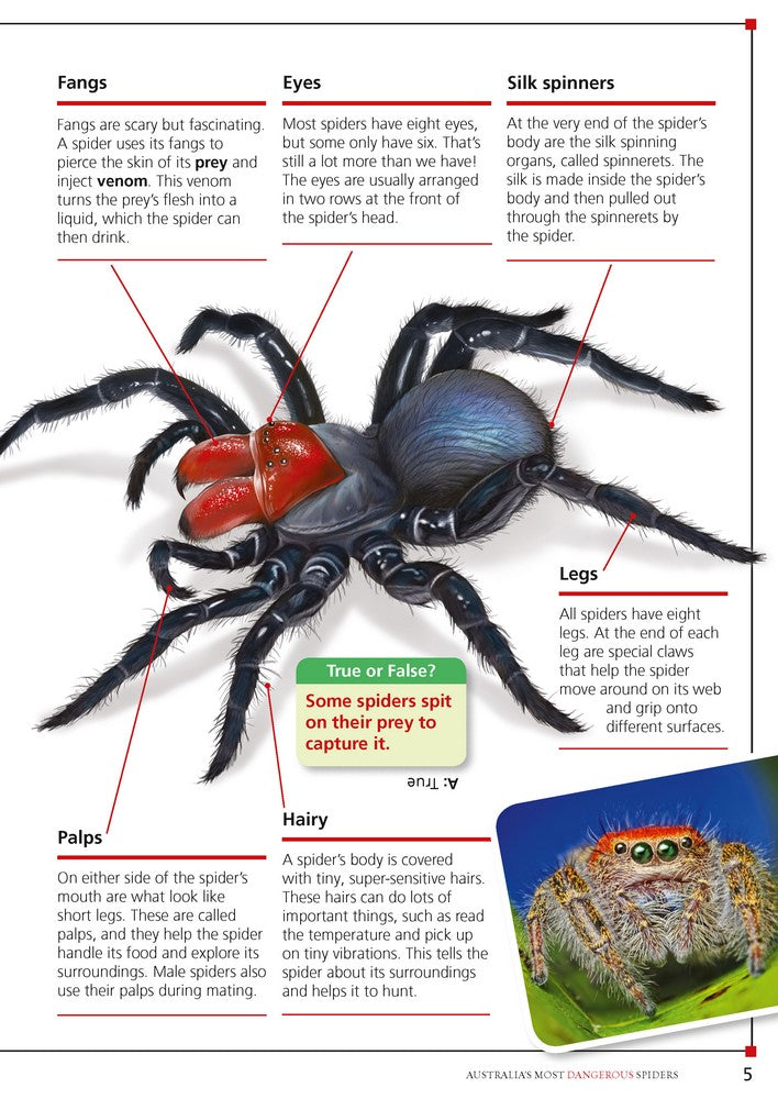 Australia's Most Dangerous – Australian Geographic book set view 3 for early learning