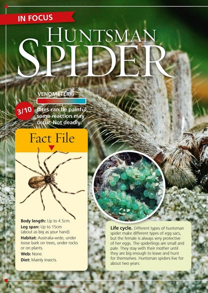 Australia's Most Dangerous – Australian Geographic book set view 4 for early learning