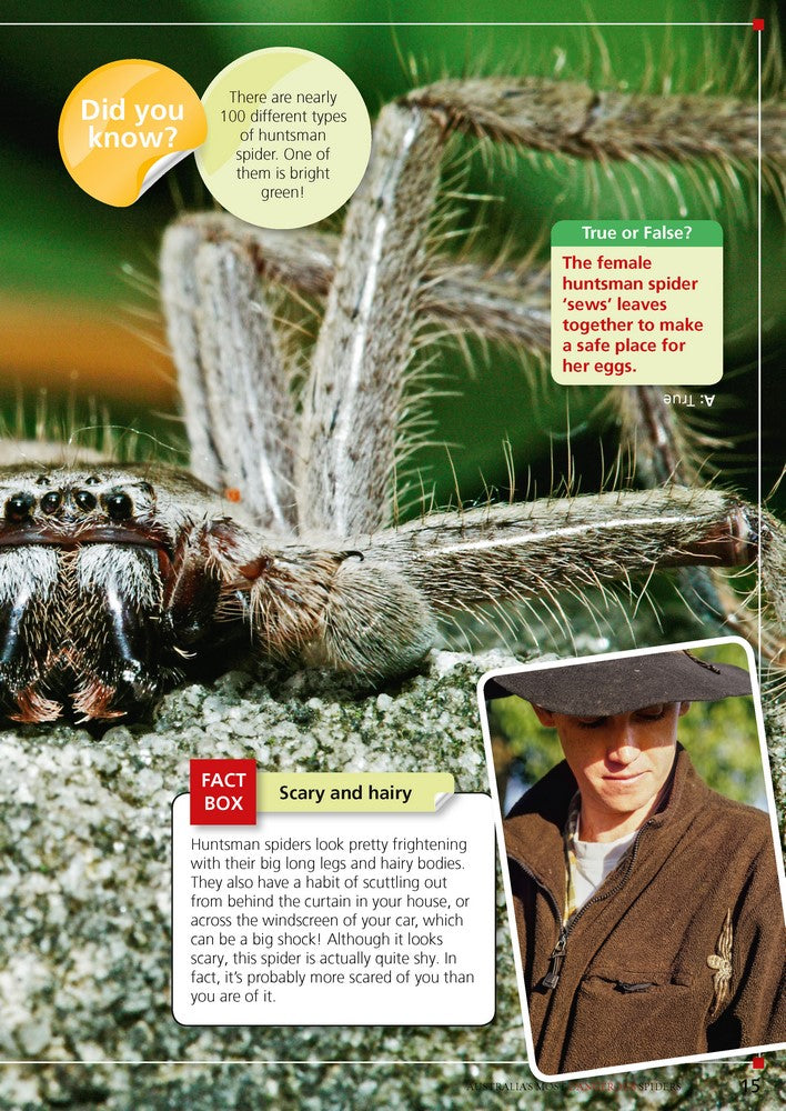 Australia's Most Dangerous – Australian Geographic book set view 5 for early learning