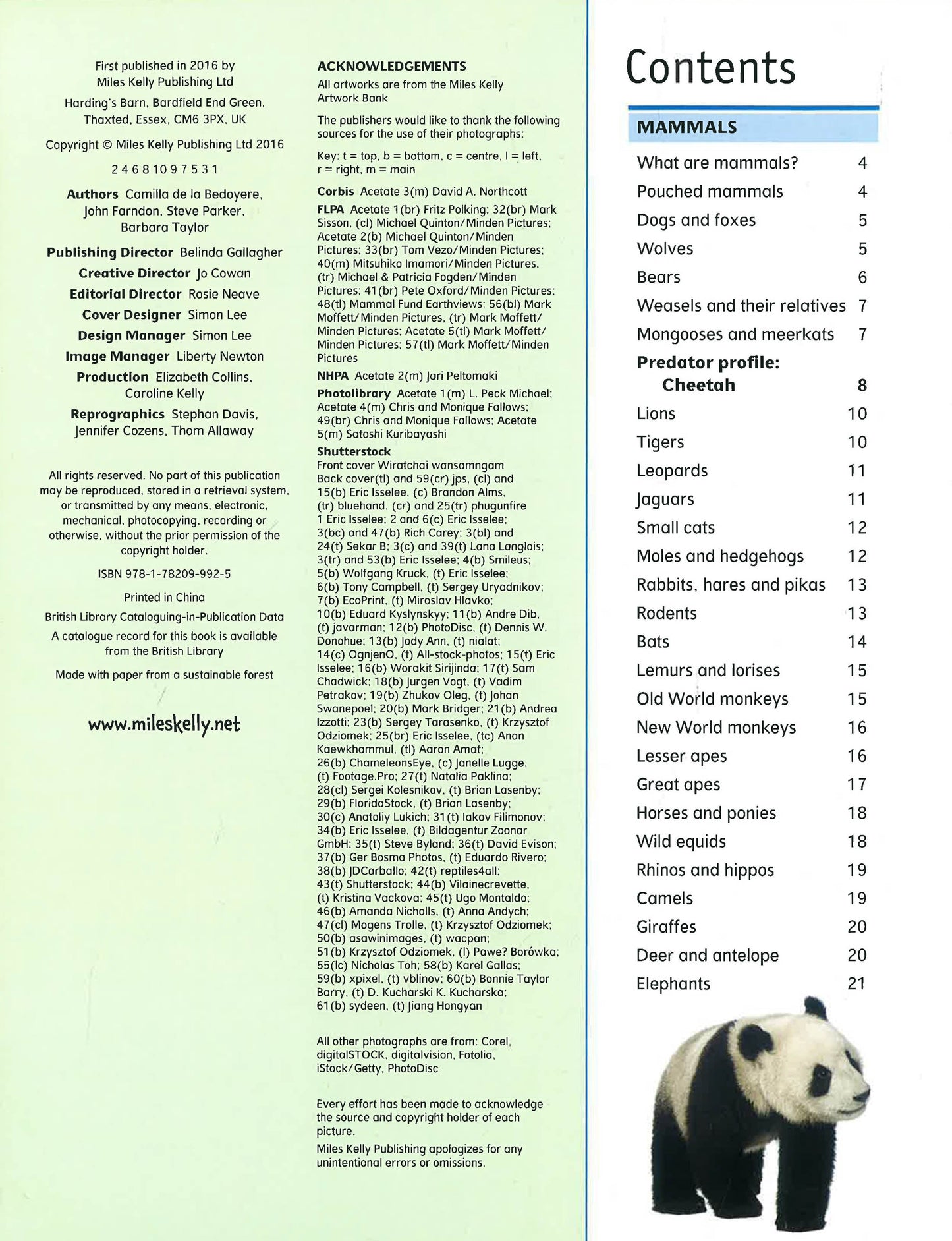 The Ultimate Guide Animal – interior spread for early learning centres and primary schools