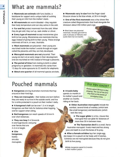 The Ultimate Guide Animal – interior spread 3 for early learning centres and primary schools
