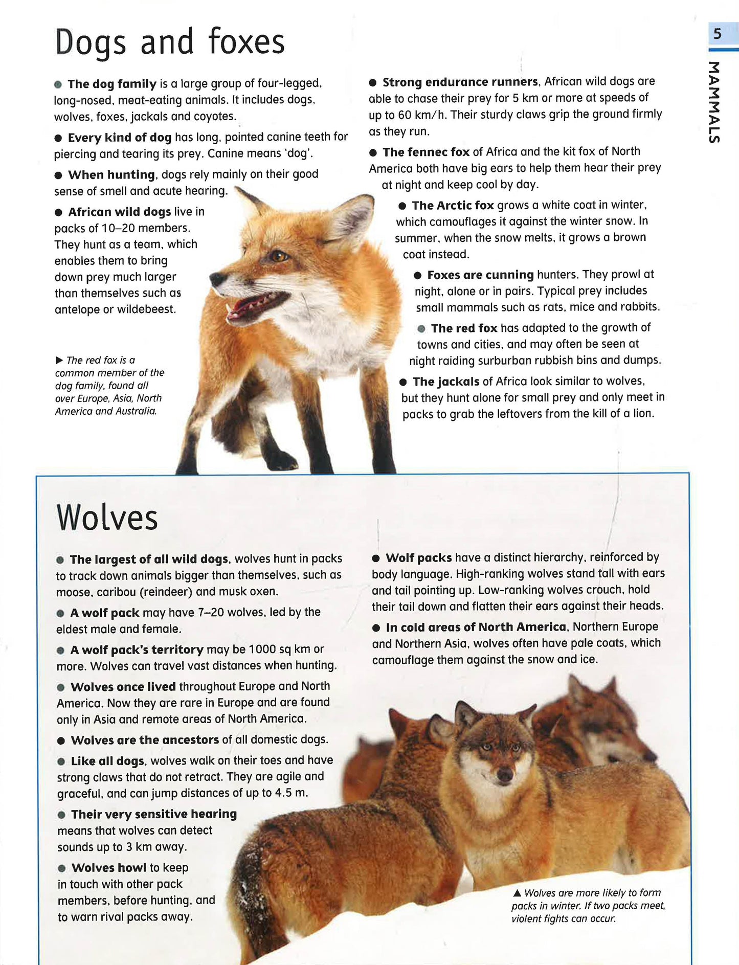 The Ultimate Guide Animal – interior spread 2 for early learning centres and primary schools