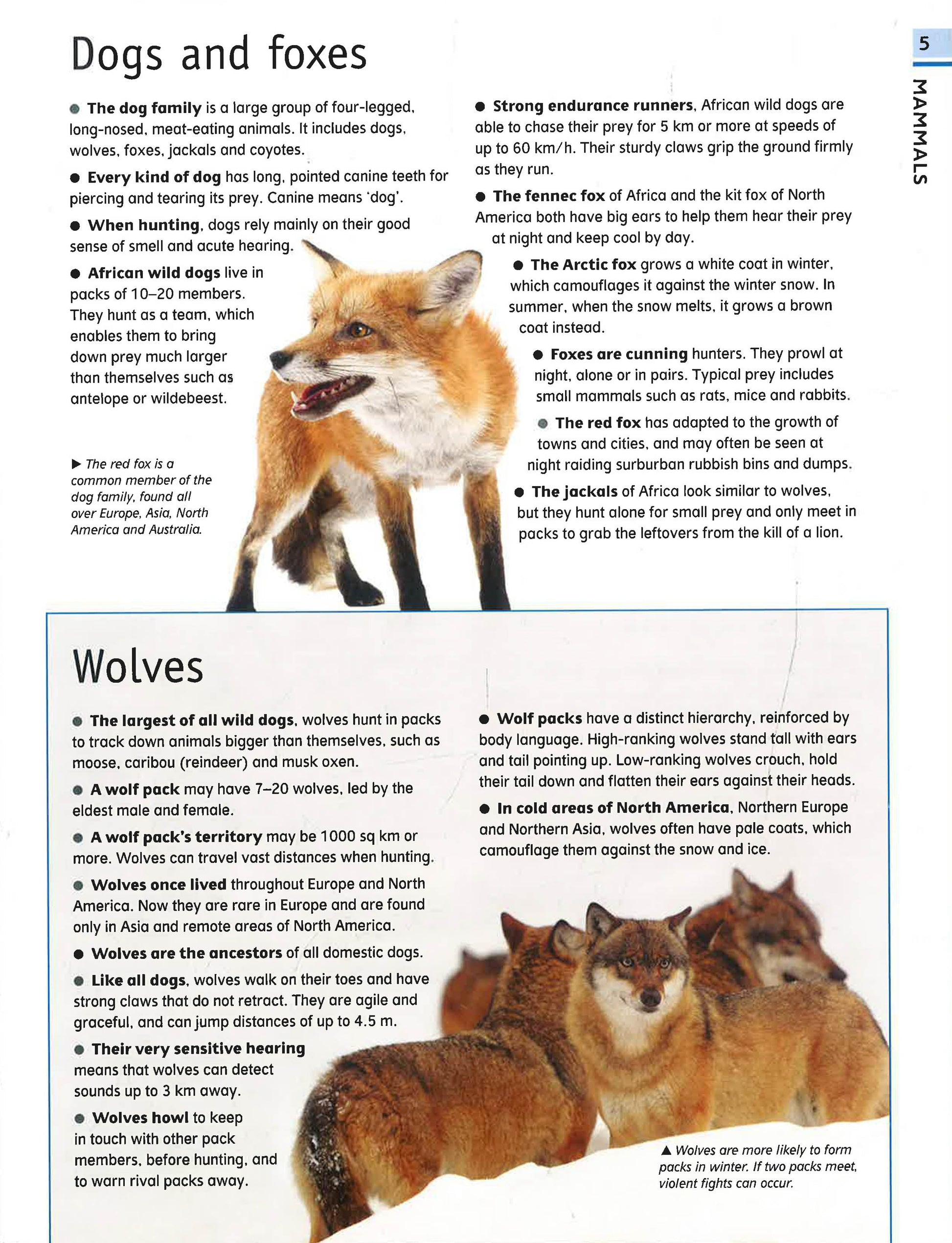 The Ultimate Guide Animal – interior spread 2 for early learning centres and primary schools