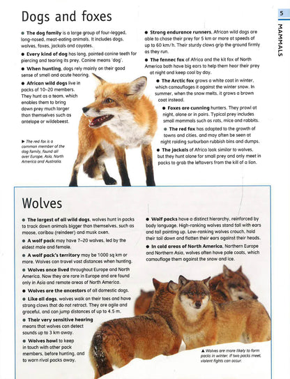 The Ultimate Guide Animal – interior spread 2 for early learning centres and primary schools