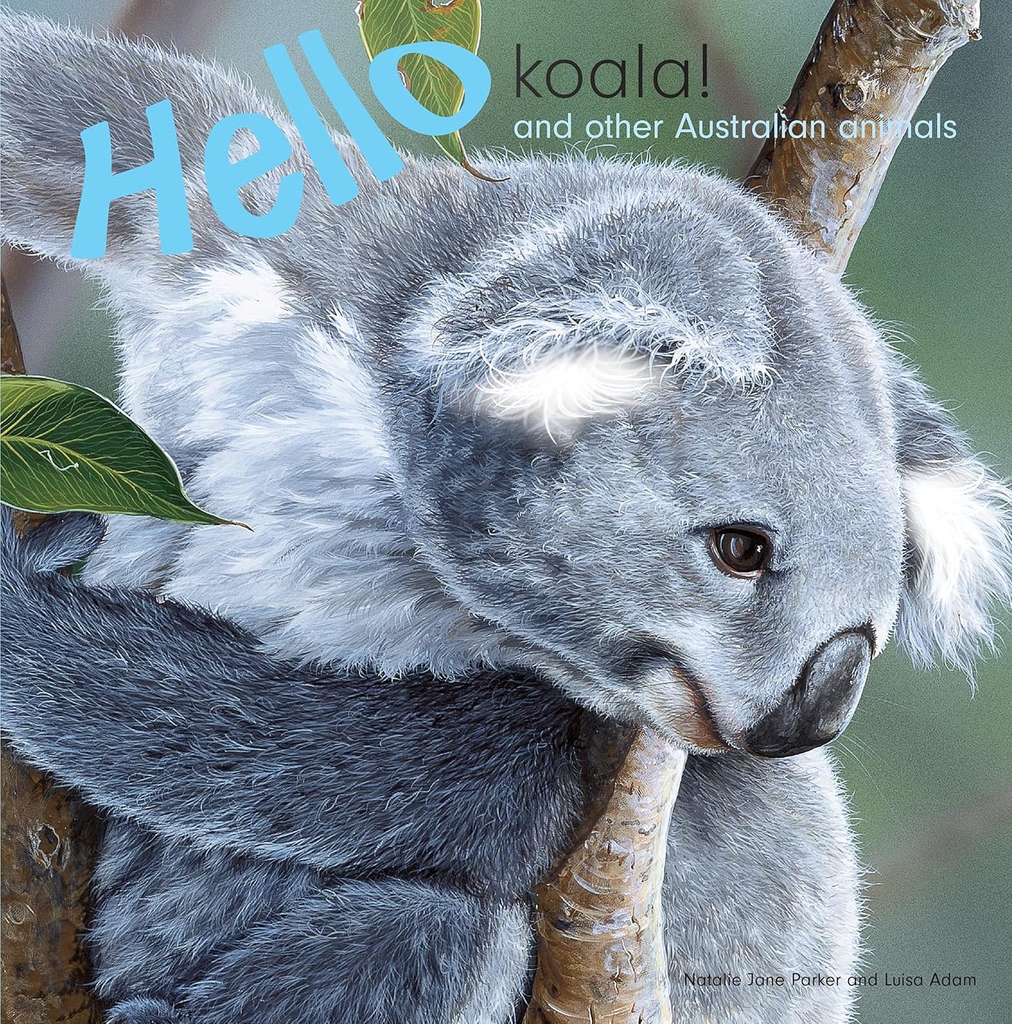 Hello Koala and other Australian Animals