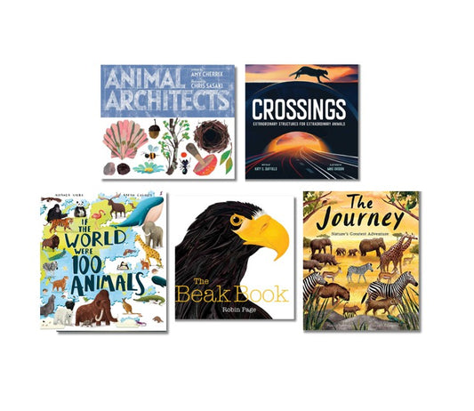 Amazing Animals Pack – wildlife and habitats picture books for early learning