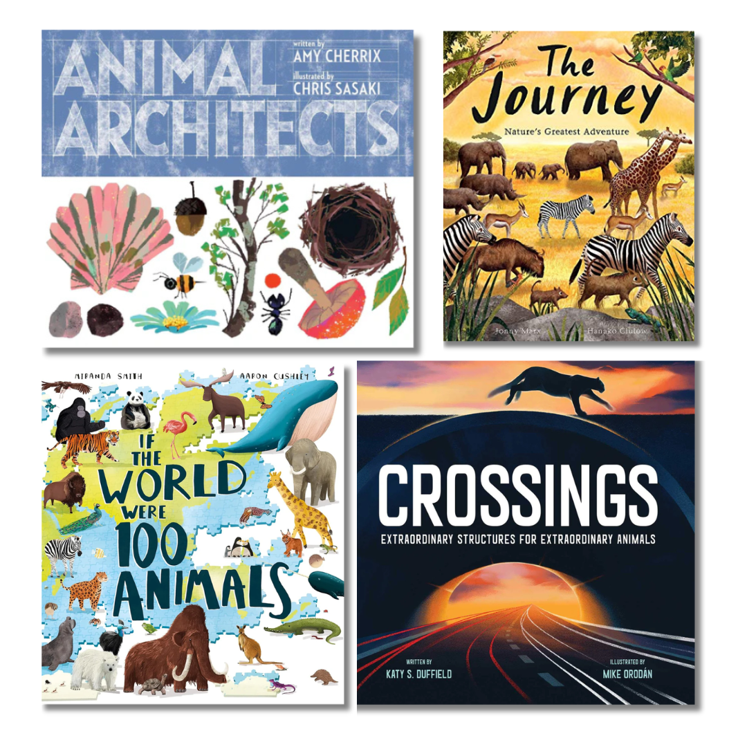 Amazing Animals Pack – picture books about animals and nature for early learning centres