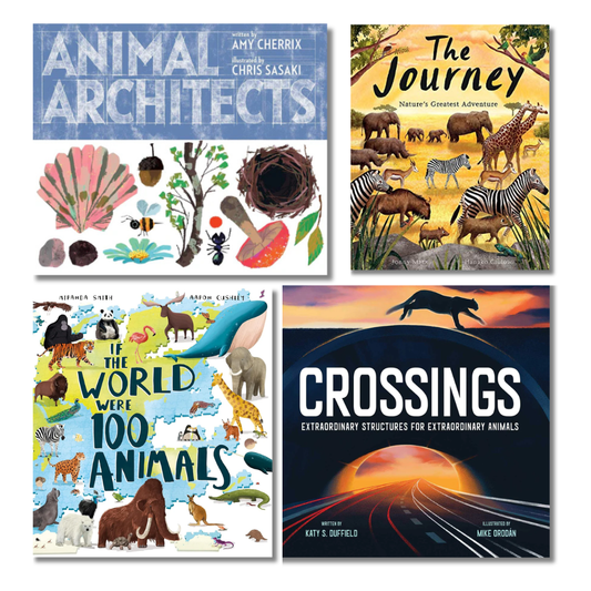Amazing Animals Pack – picture books about animals and nature for early learning centres