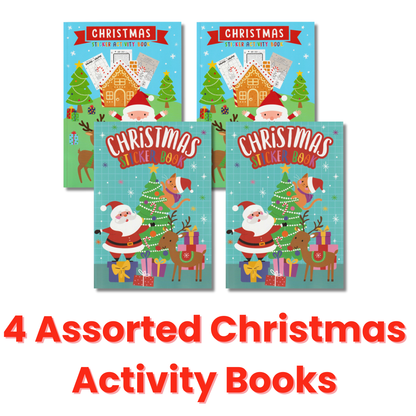 Santa’s Surprise Activity Bag x 4