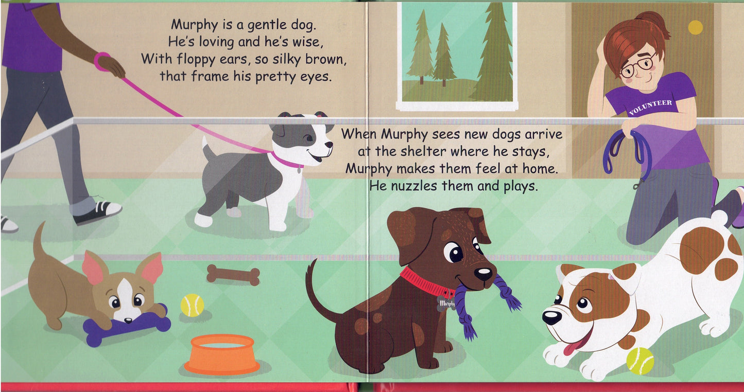 My First Christmas 5 Board Book Pack (Ages 0-2)