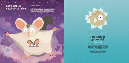 Animal Families Pack