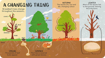 Nurturing Nature Lift-The-Flap Pack