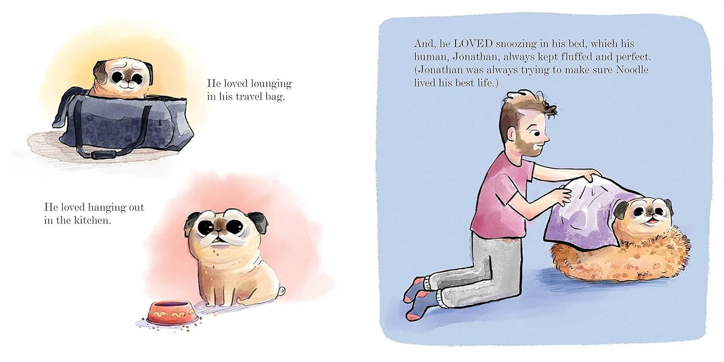 Noodle Conquers Comfy Mountain