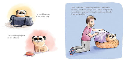 Noodle Conquers Comfy Mountain