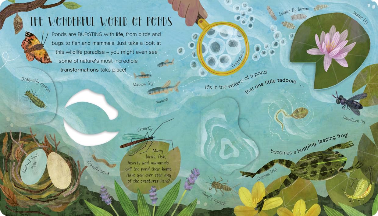 Nurturing Nature Lift-The-Flap Pack