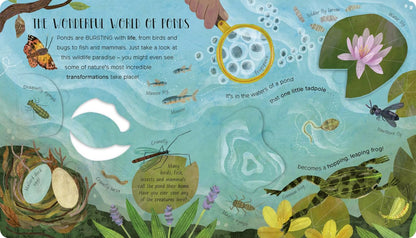 Nurturing Nature Lift-The-Flap Pack