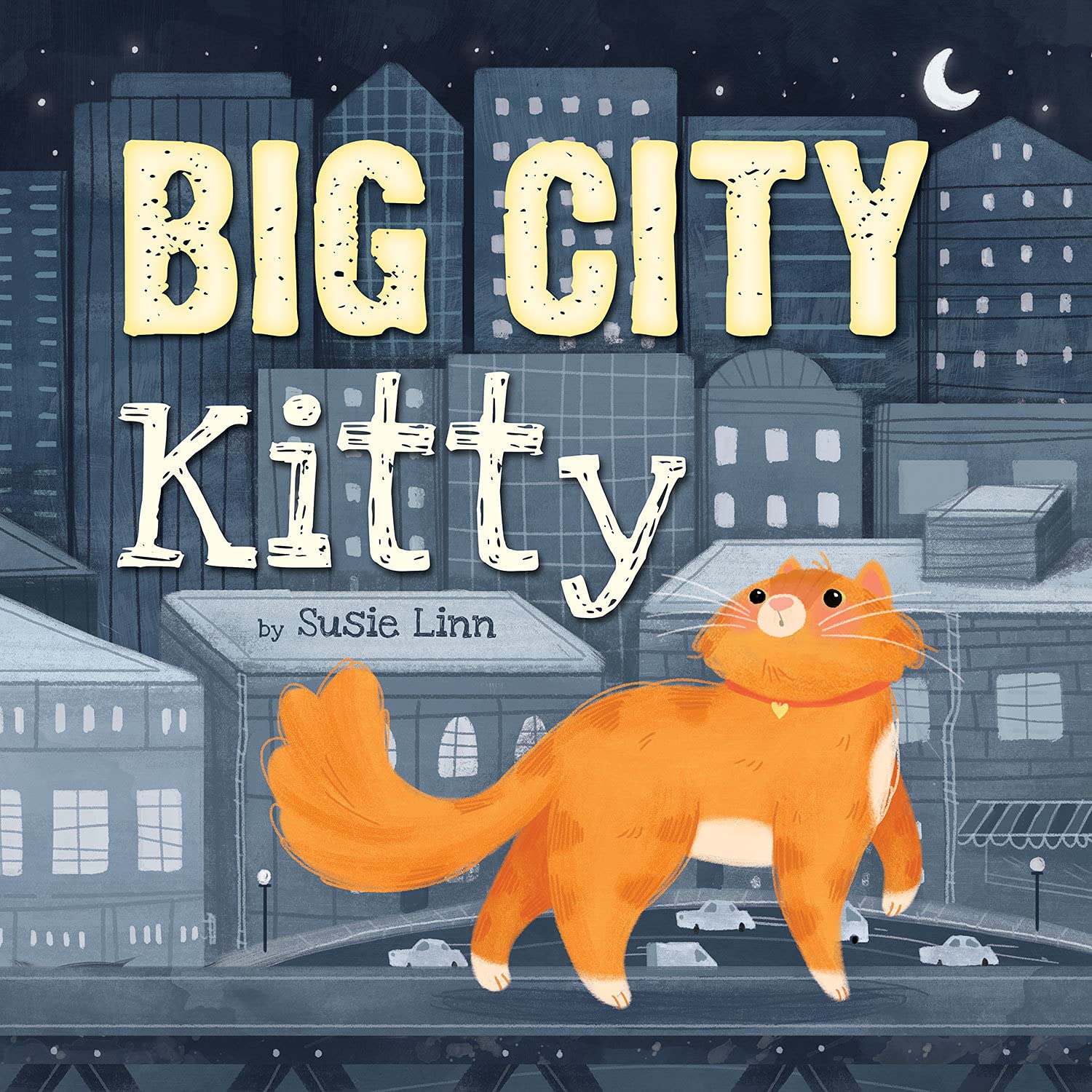 Big City Kitty picture book – compact 19cm format for early learning ages 2–6