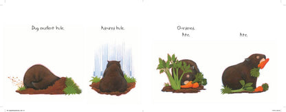 Happy Birthday Wombat