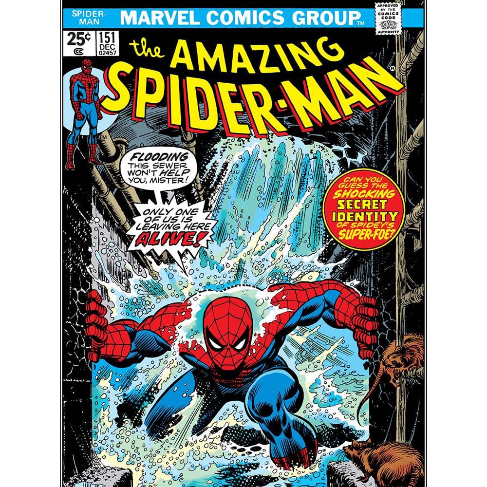 The Amazing Spiderman Jigsaw Puzzle