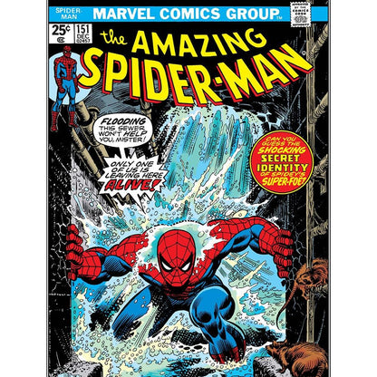 The Amazing Spiderman Jigsaw Puzzle
