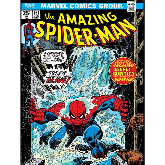The Amazing Spiderman Jigsaw Puzzle