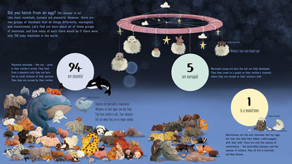 If The World Were 100 Animals