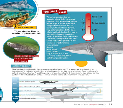 Australia's Most Dangerous Animals