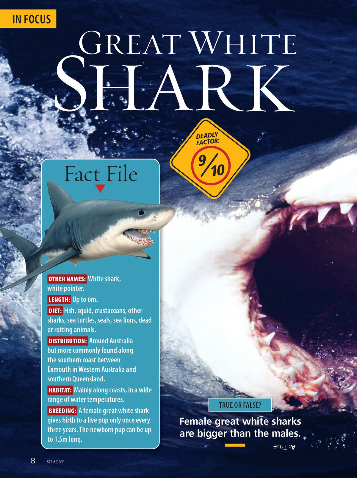 Australia's Most Dangerous Animals