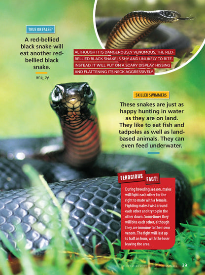 Australia's Most Dangerous Animals