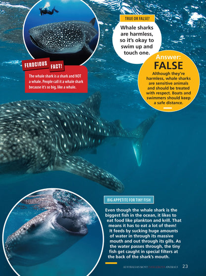 Australia's Most Dangerous Animals