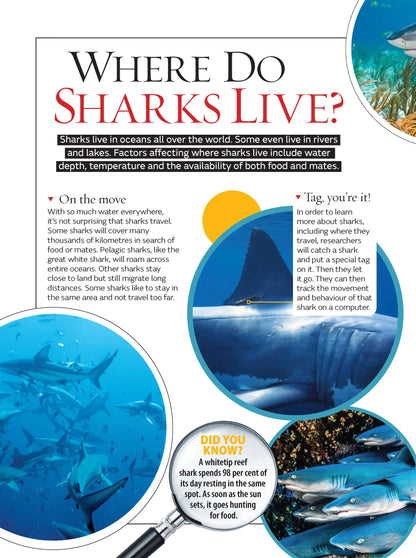 Australia's Most Dangerous Animals