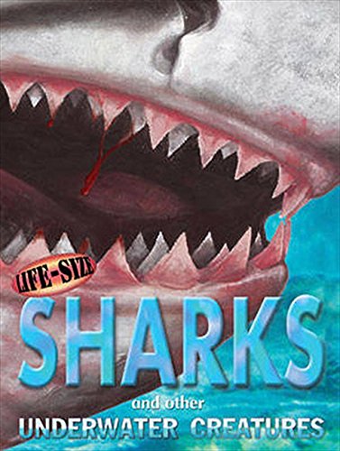 Life Size Sharks